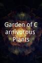 Diana Oliphant Garden of Carnivorous Plants
