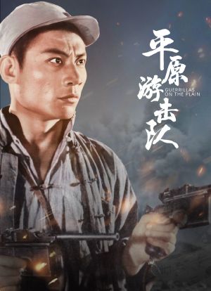 平原游击队海报封面图